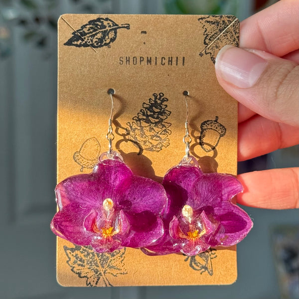Orchids