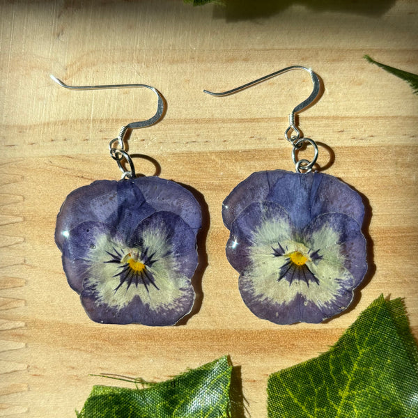 Pansies