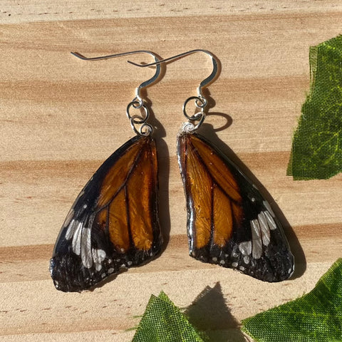 Monarch Butterfly Wings